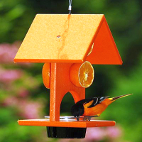 Oriole Feeders